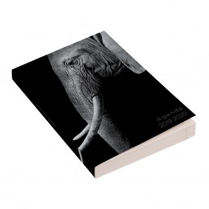 Agenda 12x17cm - 2019/2020 - Éléphant Agenda 12x17cm - 2019/2020 - Éléphant