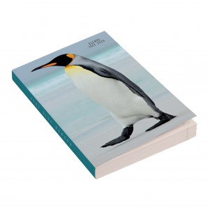 Agenda 12x17cm - 2019/2020 - Pingouin Agenda 12x17cm - 2019/2020 - Pingouin