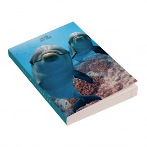 Agenda 12x17cm - 2019/2020 - Dauphins Agenda 12x17cm - 2019/2020 - Dauphins
