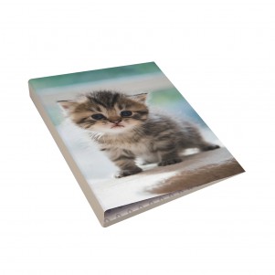 Classeur à anneaux Animaux domestiques Classeur à anneaux Animaux domestiques