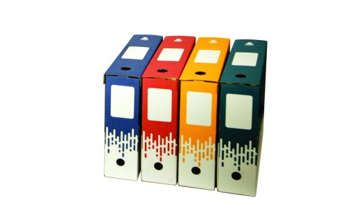 Lot de 4 boites à archives couleur