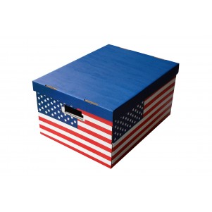 Lot 2 boites de rangement carton 40x31x21cm USA Lot 2 boites de rangement carton 40x31x21cm USA