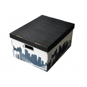 Lot 2 boites de rangement carton 40x31x21cm City