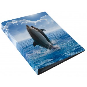Classeur à anneaux Animaux Marins Classeur à anneaux Animaux Marins