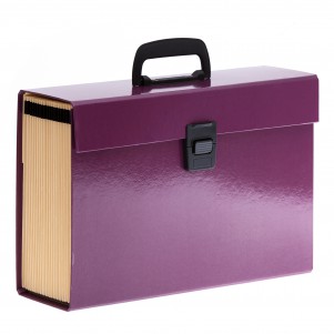 Trieur Premium A4 - Aubergine